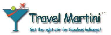 Travel Martini Logo